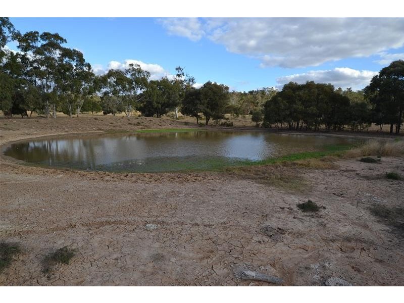 1010 Bundalba Road, Goovigen QLD 4702