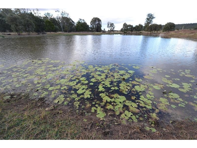 1010 Bundalba Road, Goovigen QLD 4702