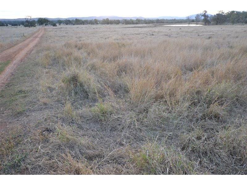 1010 Bundalba Road, Goovigen QLD 4702