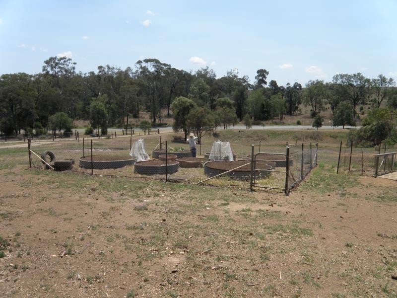 491 Crowsdale Camboon Road, Biloela QLD 4715