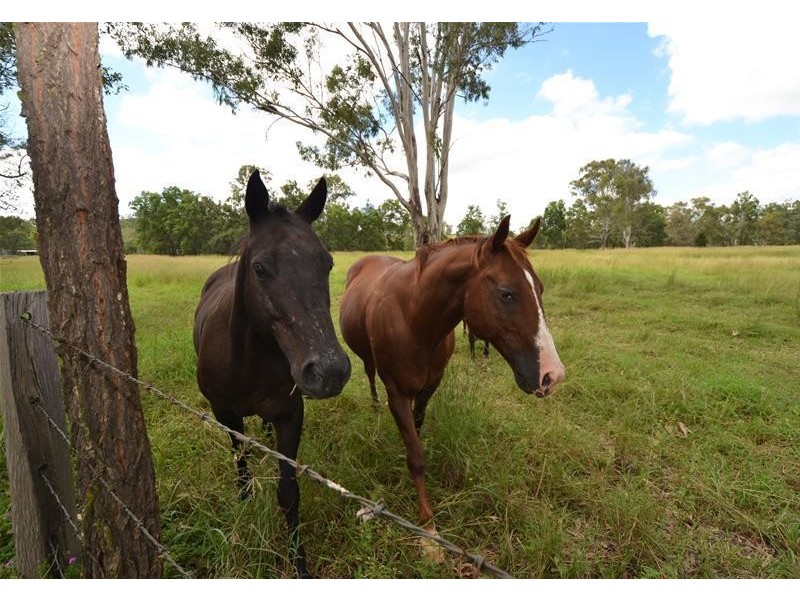 890 Coppin Road, Mungungo QLD 4630