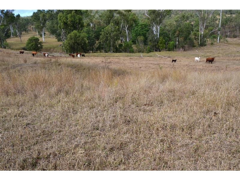 2281 Calvale Road, Valentine Plains QLD 4715