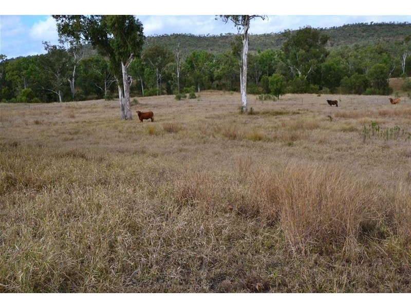 2281 Calvale Road, Valentine Plains QLD 4715