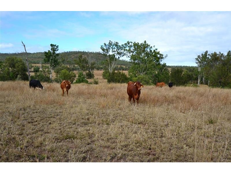 2281 Calvale Road, Valentine Plains QLD 4715