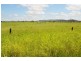 245 Thangool-Lookerbie Road, Thangool QLD 4716