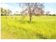 245 Thangool-Lookerbie Road, Thangool QLD 4716