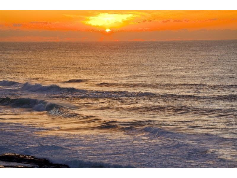 22 Thompson Street, Tamarama NSW 2026