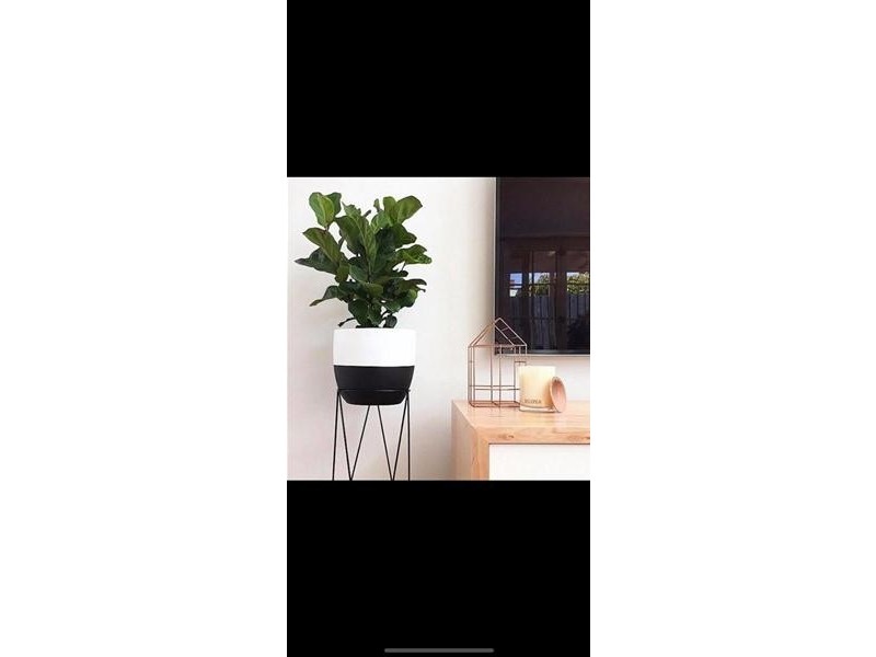 10/10 Warners Avenue, Bondi Beach NSW 2026