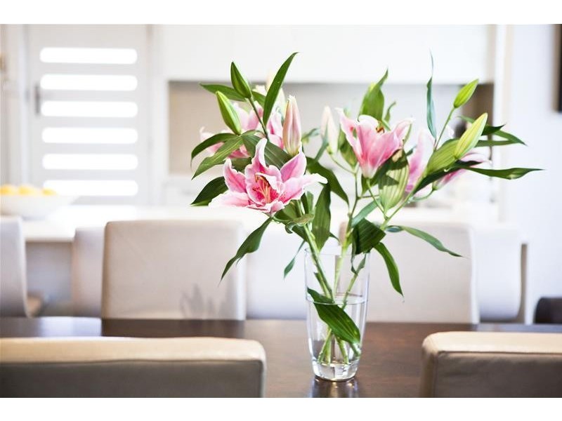 39 The Avenue, Rose Bay NSW 2029