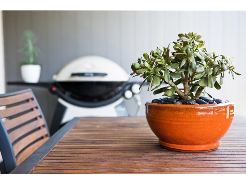 31d/356 George Street, Waterloo NSW 2017