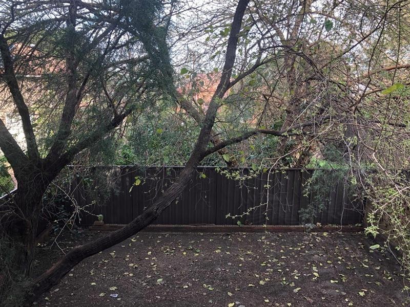 50/22 Tunbridge  Street, Mascot NSW 2020