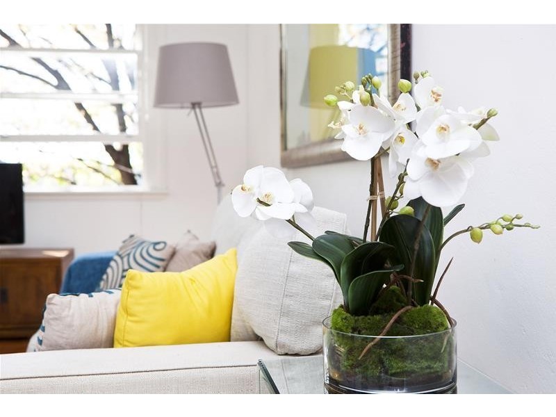 6/163 Queen Street, Woollahra NSW 2025