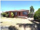 17 Bambara Street, Dharruk NSW 2770