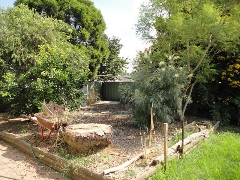 6 Hoad Place, Shalvey NSW 2770