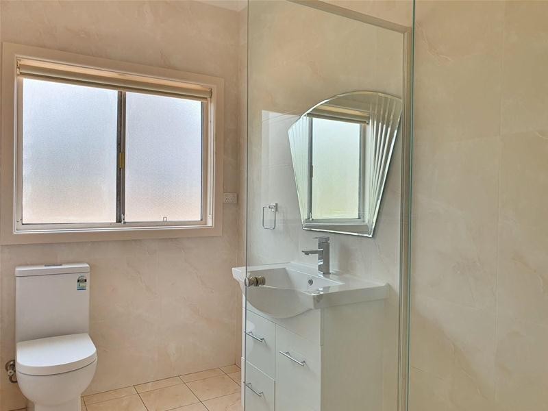 17 Frank Street, Mount Druitt NSW 2770