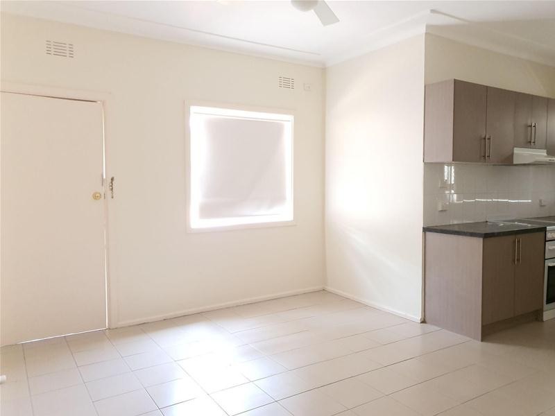 17 Frank Street, Mount Druitt NSW 2770