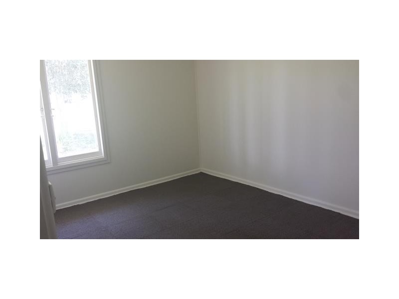 14 CUSACK Place, Blackett NSW 2770