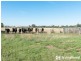 Lot 1 Strafford Lane, Bunyip VIC 3815