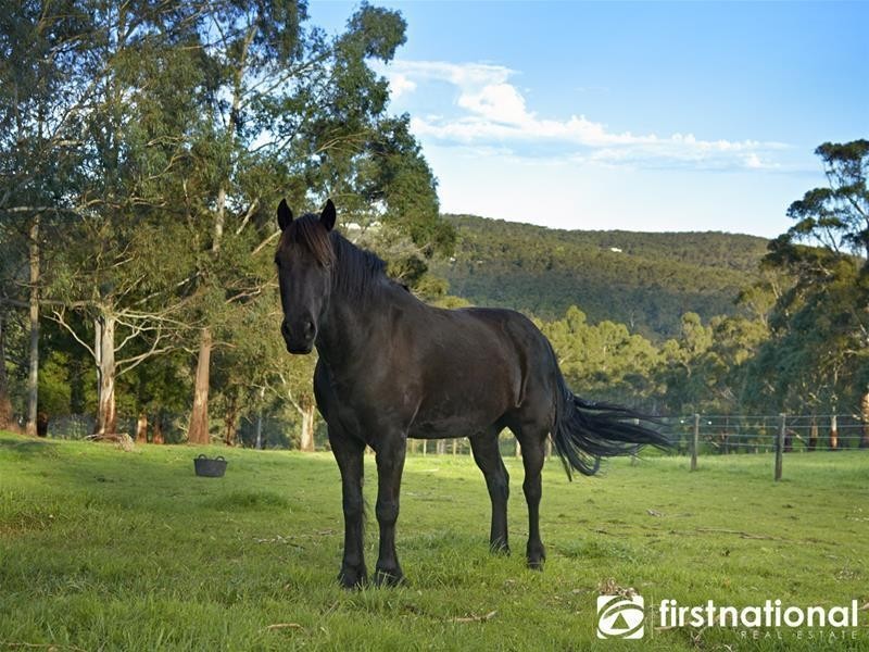 75 Rowallan Avenue, Harkaway VIC 3806