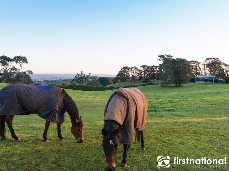 169 King  Road, Harkaway VIC 3806