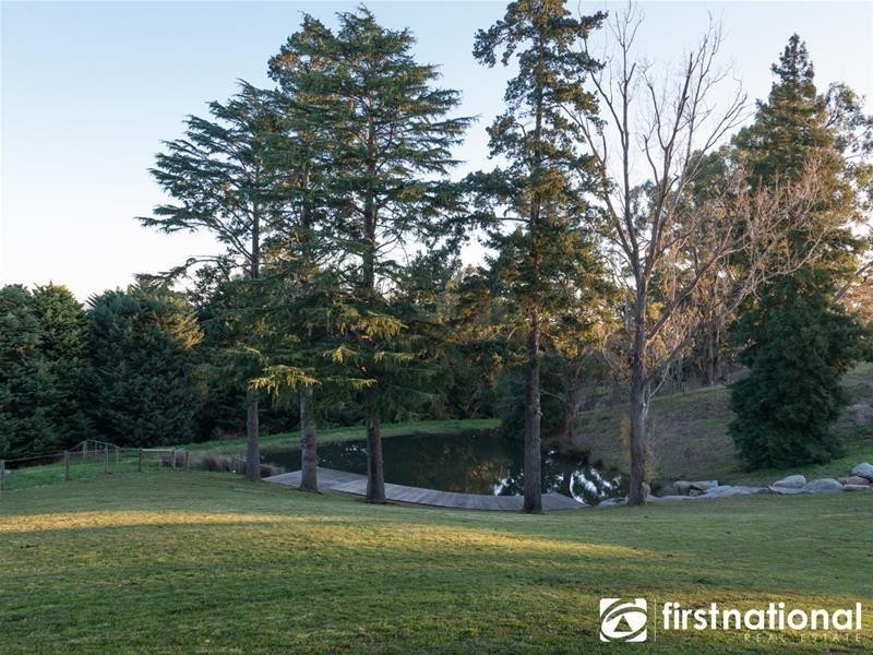 169 King  Road, Harkaway VIC 3806