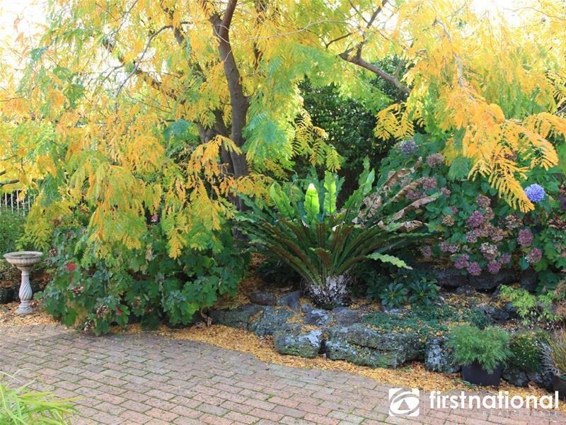 12 Christine Avenue, Berwick VIC 3806