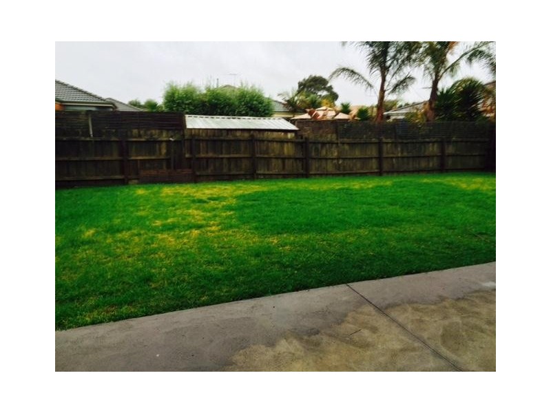 6 Carabott Place, Berwick VIC 3806