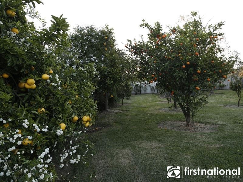 49-51 Fontaine Terrace, Narre Warren North VIC 3804