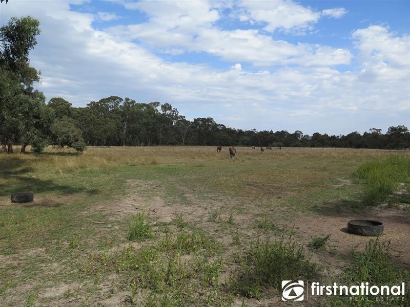 50 Barongarook Road, Maryknoll VIC 3812