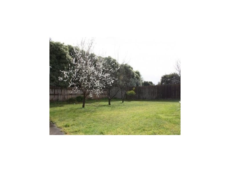 52 Cheviot Avenue, Berwick VIC 3806