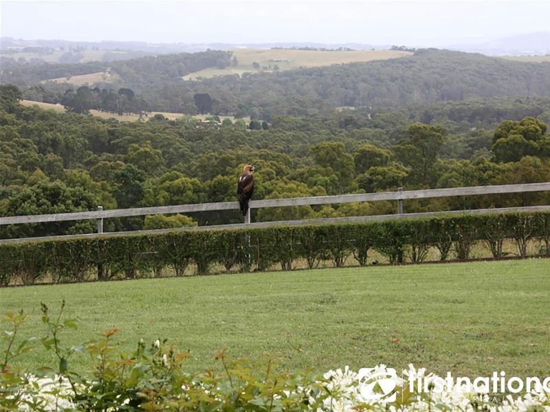 40 Rainy Hill Road, Cockatoo VIC 3781