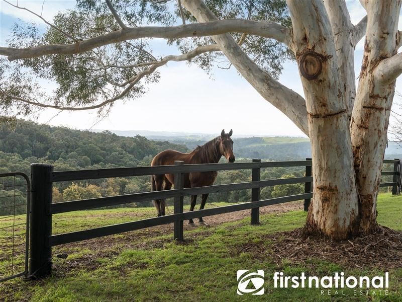 40 Rainy Hill Road, Cockatoo VIC 3781