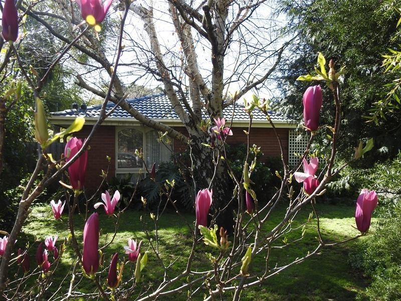 101 Princes Highway, Beaconsfield VIC 3807