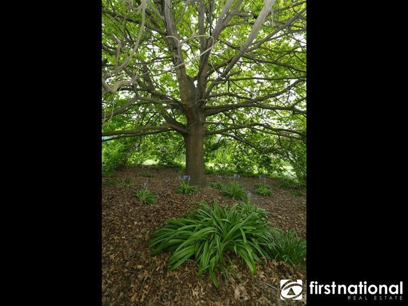 11 Doran Road, Bunyip VIC 3815