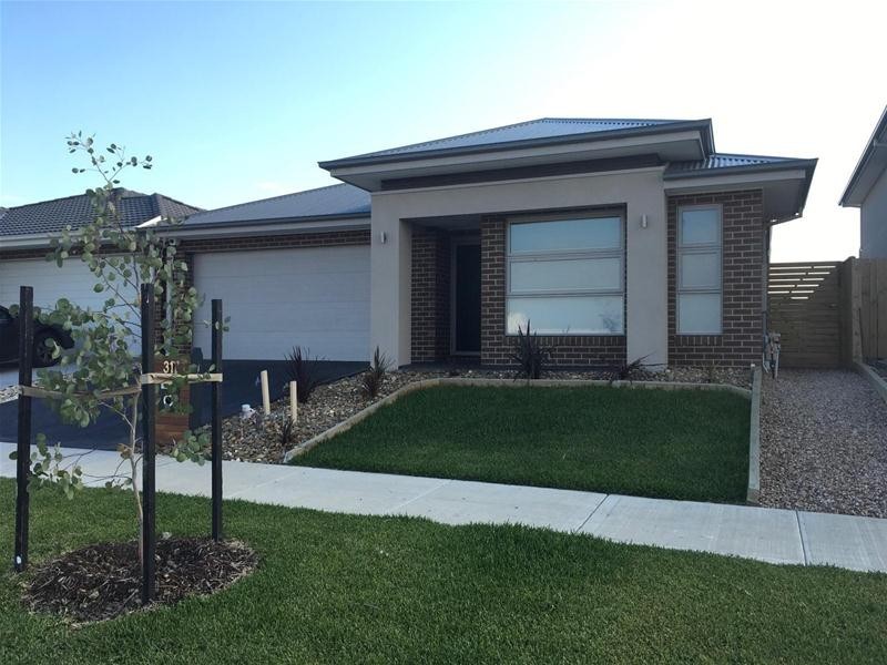 31 Firewheel Road, Officer VIC 3809