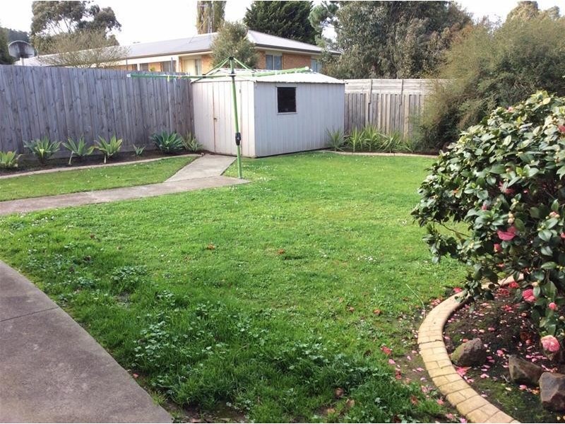 17 Amber Crescent, Narre Warren VIC 3805