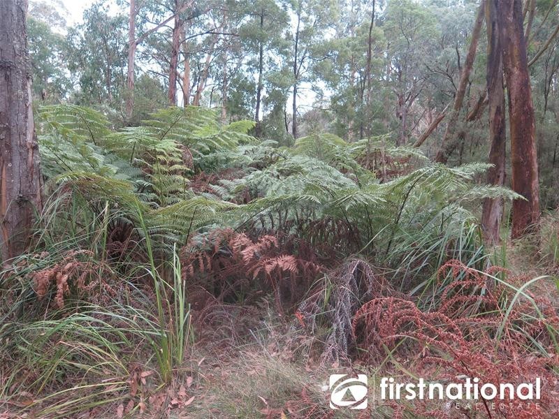 2608 Strzelecki Highway, Mirboo North VIC 3871