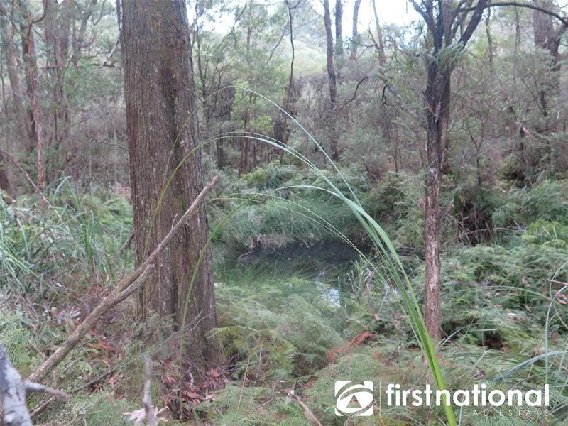 2608 Strzelecki Highway, Mirboo North VIC 3871