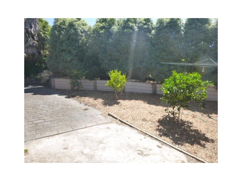 5 Vine Court, Narre Warren VIC 3805