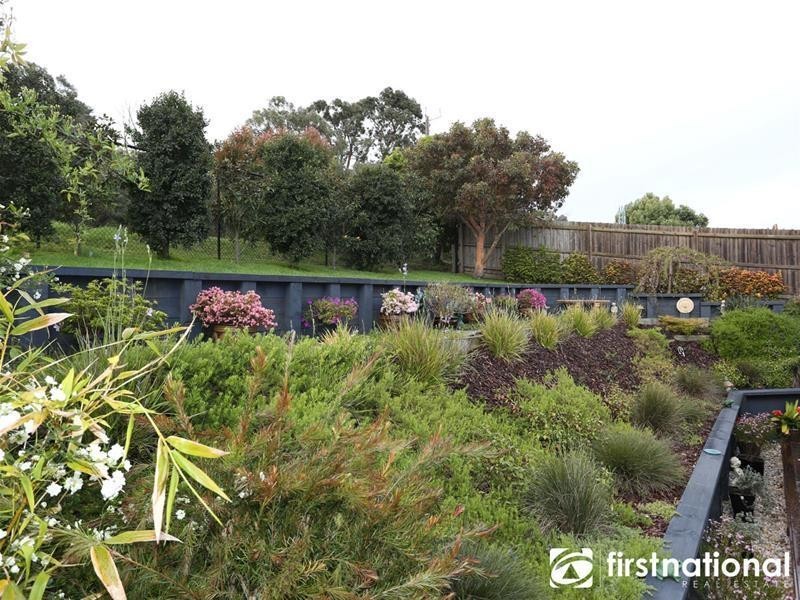 37  Cambridge Drive, Berwick VIC 3806