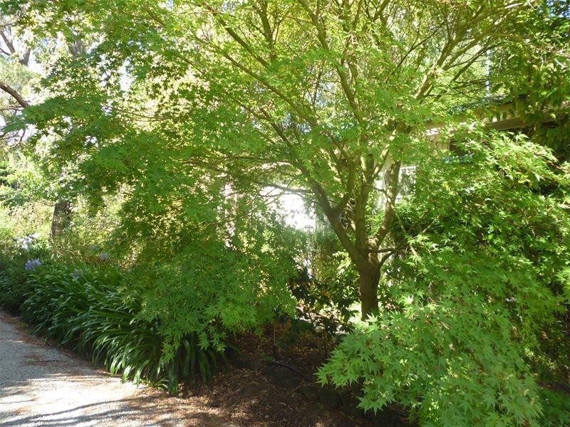 135 King Road, Harkaway VIC 3806