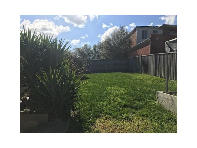 16 Riviera Drive, Berwick VIC 3806