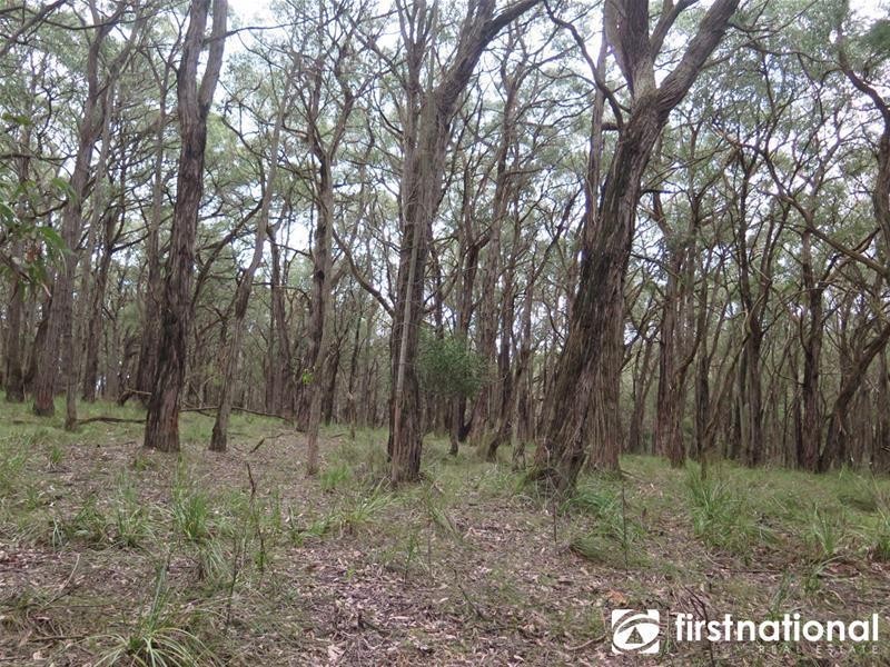 480 Tynong North Road, Tynong North VIC 3813