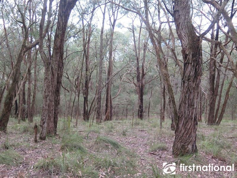 480 Tynong North Road, Tynong North VIC 3813