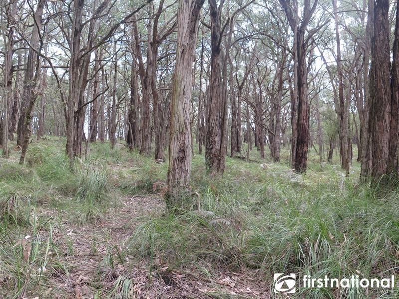 480 Tynong North Road, Tynong North VIC 3813