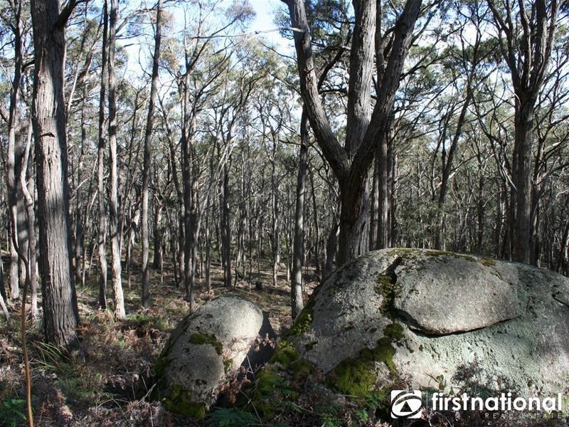 480 Tynong North Road, Tynong North VIC 3813