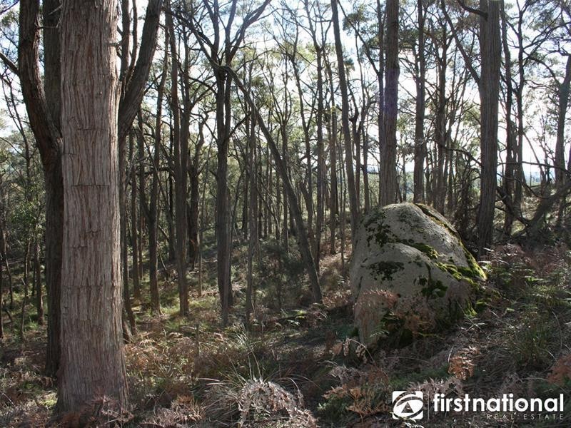 480 Tynong North Road, Tynong North VIC 3813