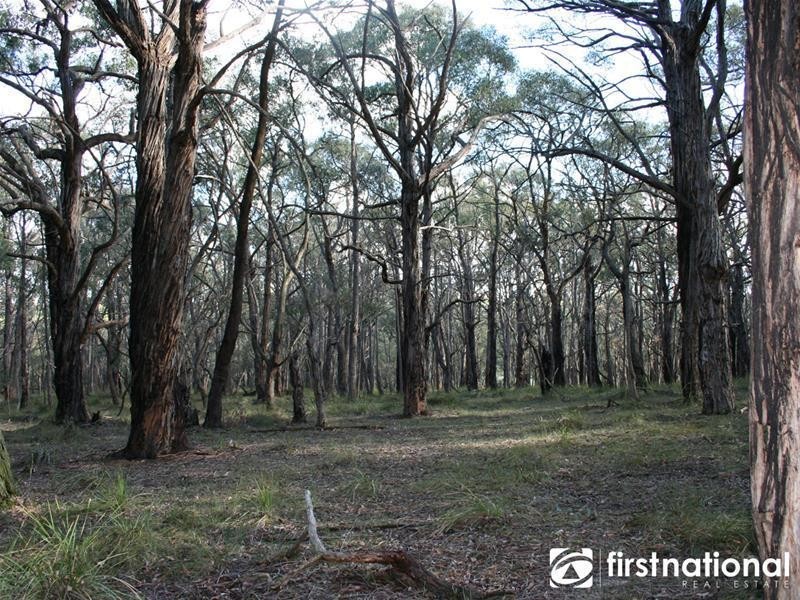 480 Tynong North Road, Tynong North VIC 3813