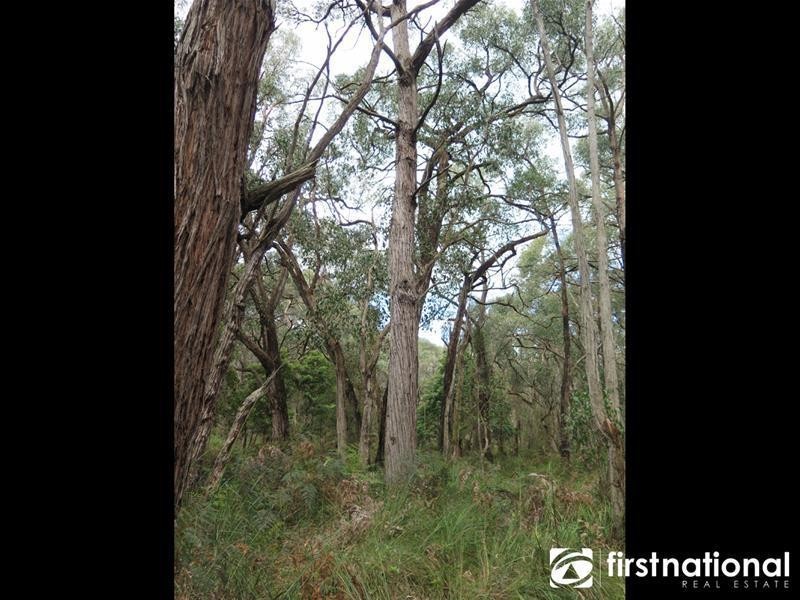 480 Tynong North Road, Tynong North VIC 3813