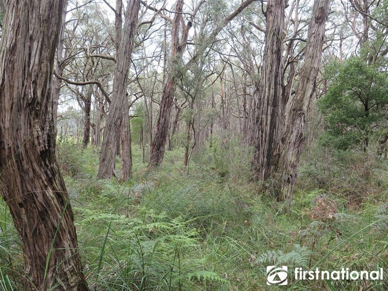 480 Tynong North Road, Tynong North VIC 3813